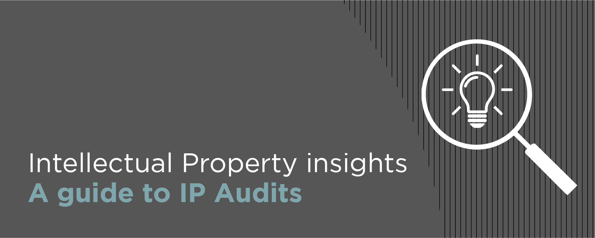 Intellectual Property insights: A guide to IP Audits