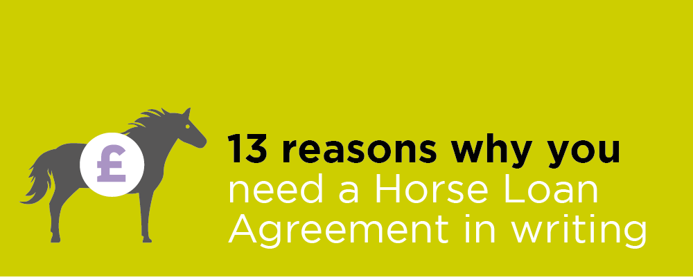 13 reasons why you need a Horse Loan Agreement in writing