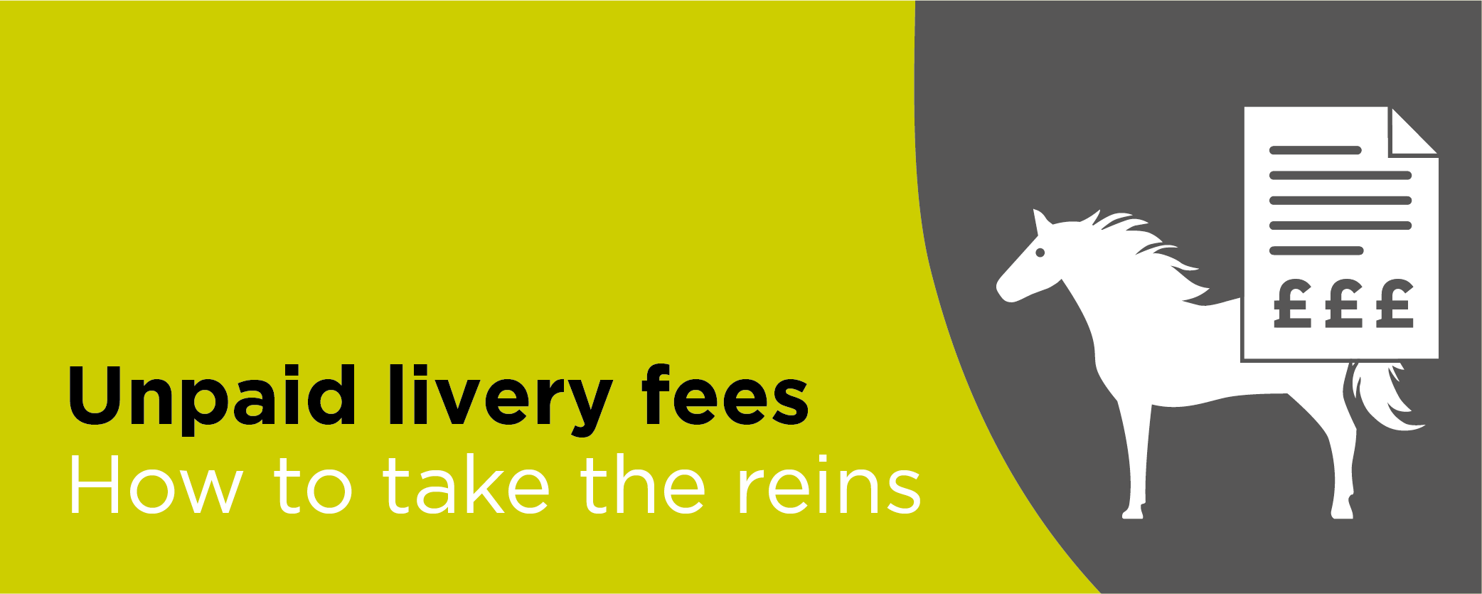 Unpaid livery fees: How to take the reins