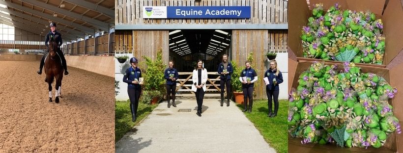 Essex law firm continues random acts of kindness with Writtle University College Equine Academy