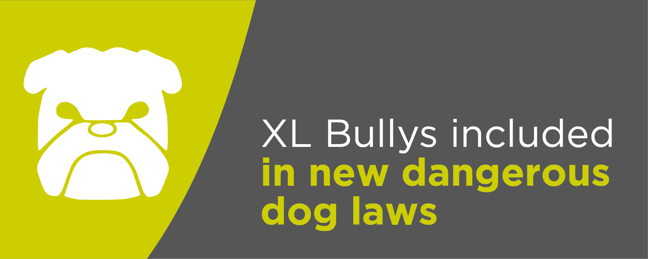 XL Bullys included in new dangerous dog laws 