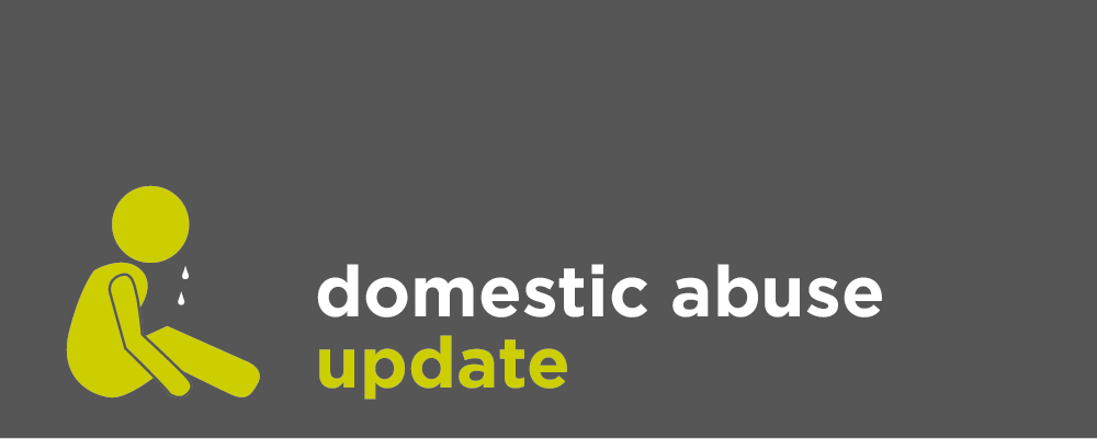 2021 Domestic Abuse Update