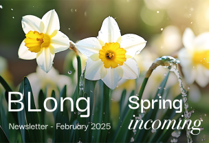 February Newsletter 2025 - Spring incoming